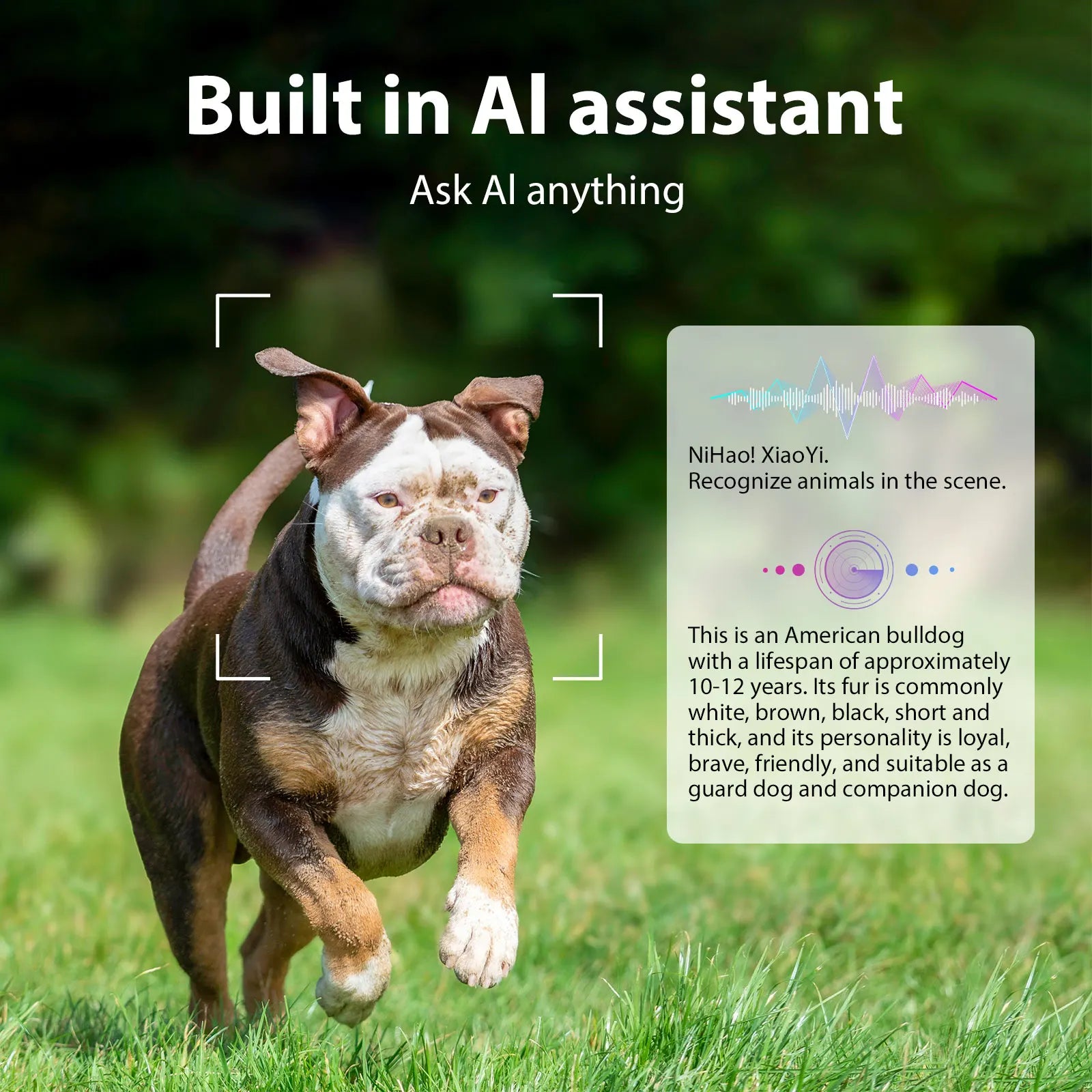 AI glasses, dual cameras, 2 million pixels, with three lenses, wireless smart glasses, hunting glasses, video glasses, AI shooting glasses, cycling glasses, sports camera, long battery life, high sound quality, touch voice