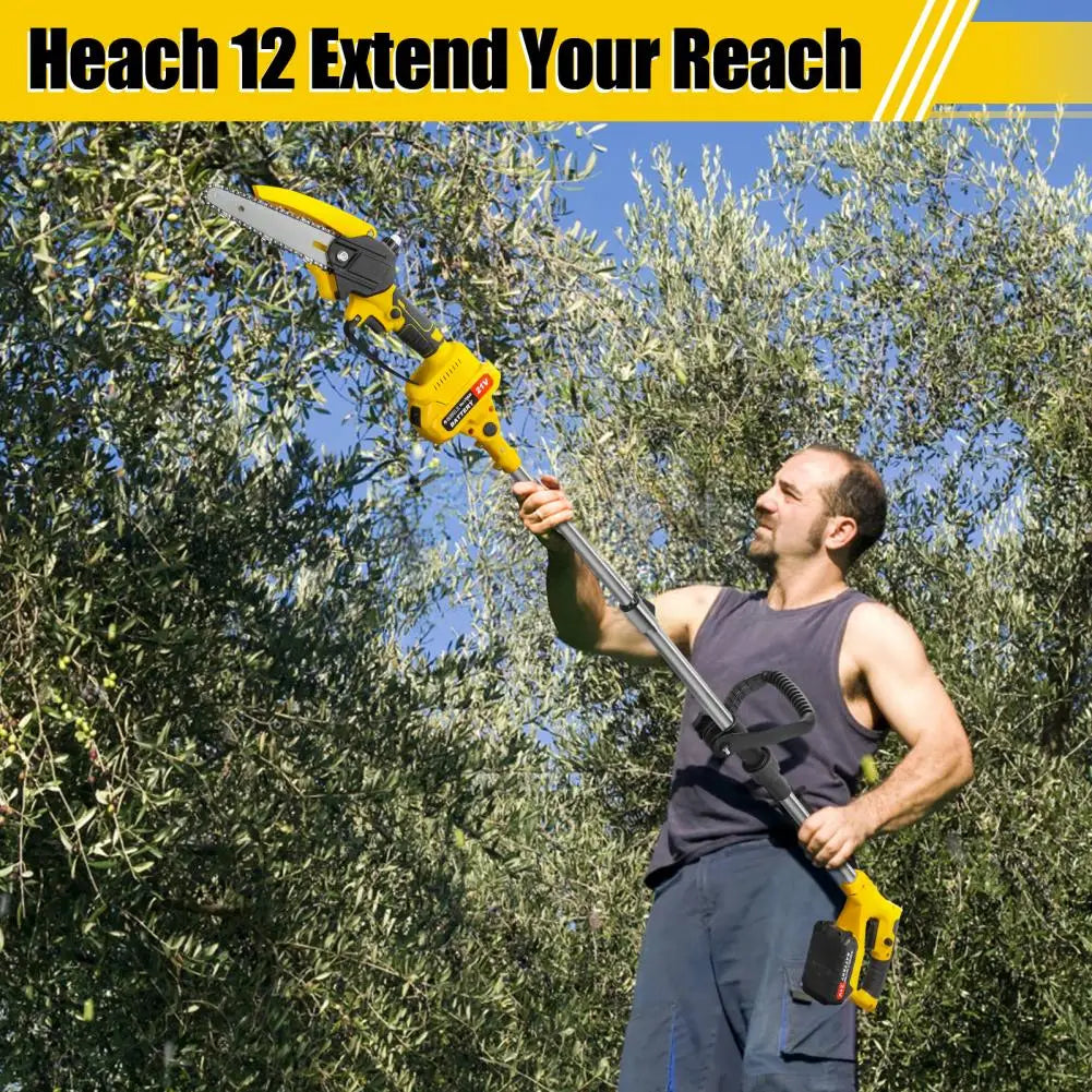 2 in 1 Cordless Pole Saw & Mini Chainsaw
