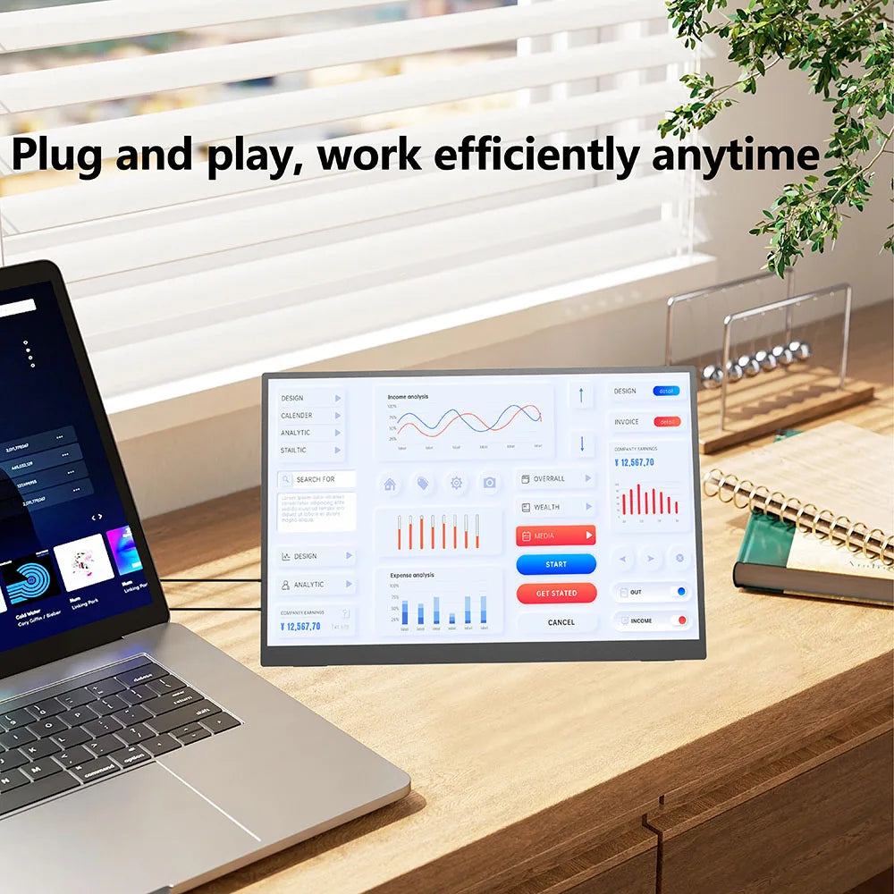 Portable Monitor 15.6 Inch 1080P